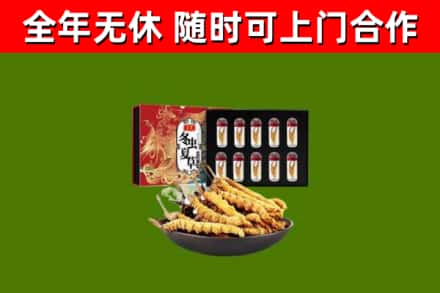 宁国市回收冬虫夏草价格